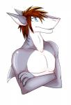 2015 anthro barely_visible_teeth blue_eyes brown_hair conditional_dnp crossed_arms dasharky3d fin fingers fish grey_arms grey_body grey_ears grey_fin grey_hands grey_head grey_neck hair male marine mouth_closed multicolored_body shalame shark sharky_zeno simple_background snout solo teeth white_background white_body white_face white_inner_ear white_neck