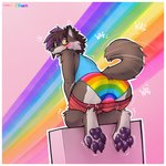 anthro big_butt biped blush bottomwear bottomwear_down brown_body brown_fur bulge butt clothed clothing eyewear feet fur glasses kneeling lgbt_pride male multicolored_clothing multicolored_underwear partially_clothed pawpads presenting presenting_hindquarters pride_color_clothing pride_color_underwear pride_colors rainbow_clothing rainbow_underwear shirt shorts shorts_down smile solo tail tail_motion tailwag tank_top topwear underwear yellow_eyes neelix neelix_(character) canid canine canis mammal wolf 1:1 2025 hi_res