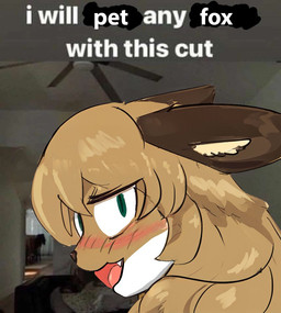 anthro blush brown_body brown_fur caption female female_anthro fur green_eyes hair looking_back markings open_mouth photo_background solo text white_body white_fur conditional_dnp unknown_artist averi_(fiddleafox) canid canine fox mammal english_text photography_(artwork)