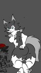 9:16 anthro butt canid female generation_5_pokemon generation_7_pokemon hi_res lycanroc mammal may_(disambiguation) midday_lycanroc midnight_lycanroc nintendo pokemon pokemon_(species) roder_vasquez zoroark