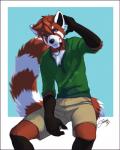 anthro big_tail biped black_body black_fur black_nose blue_background border bottomwear brown_eyes chest_tuft clothed clothing depth_of_field fluffy fluffy_tail front_view fully_clothed fur green_clothing green_shirt green_topwear hair jewelry long_tail male markings multicolored_body multicolored_fur multicolored_tail outside_border pendant red_body red_fur red_hair red_tail ring_(marking) ringed_tail shirt short_hair shorts simple_background sitting smile solo striped_markings striped_tail stripes tail tail_markings tan_bottomwear tan_clothing tan_shorts topwear tuft two_tone_tail white_body white_border white_fur white_tail feralise sy_freedom ailurid mammal red_panda 2017 digital_media_(artwork) portrait signature three-quarter_portrait