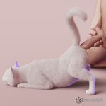 1:1 3d_(artwork) anal anal_penetration ass_up bestiality biped digital_media_(artwork) domestic_cat duo felid feline felis female female_feral female_on_human feral feral_penetrated fur fuzzyfelt genitals holding_own_penis holding_penis human human_on_feral human_penetrating human_penetrating_feral humanoid_genitalia humanoid_penis interspecies larger_human larger_male light_body light_skin male male/female male_on_feral male_penetrating_feral mammal nude nude_male paws penetration penile penile_penetration penis penis_in_ass quadruped raised_tail realistic realistic_feral realistic_human sex shallow_penetration simple_background size_difference smaller_female smaller_feral tail watermark whiskers white_body white_fur