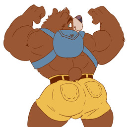 anthro backpack belt big_butt big_muscles black_nose blue_eyes bottomwear brown_body brown_fur butt clothed clothing flexing fur looking_back male muscular muscular_anthro muscular_arms muscular_male rear_view short_tail shorts simple_background smile solo standing tail thick_arms tight_clothing topless white_background bruskaroo banjo-kazooie rareware banjo_(banjo-kazooie) bear mammal 1:1 2019 hi_res