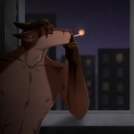 after_rape after_sex anthro black_hair cigarette drugs ear_piercing eyebrow_piercing facial_piercing hair holding_cigarette holding_object male moon night nude piercing smoke solo yourumi kais_(yourumi) canid canine fox mammal hi_res