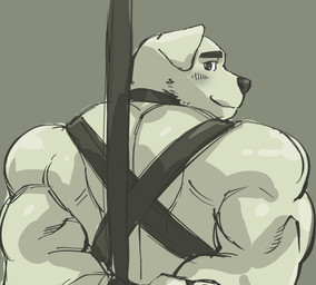 anthro back_muscles barazoku bdsm bondage bound collar deltoids floppy_ears folded_ears hands_behind_back hands_tied hands_tied_behind_back harness looking_at_viewer looking_back looking_back_at_viewer male muscular muscular_anthro muscular_male solo triceps terujirou bird_dog canid canine canis domestic_dog golden_retriever hunting_dog mammal retriever 2026 hi_res monochrome