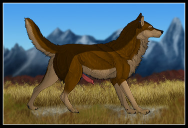 amber_eyes anatomically_correct anatomically_correct_genitalia anatomically_correct_penis animal_genitalia animal_penis anus blue_sky brown_body brown_fur canine_genitalia canine_penis claws dark_claws digitigrade ear_piercing ear_ring erection feral fur genitals grass looking_away male mountain pawpads penis piercing plant quadruped raised_tail ring_piercing side_view sky solo standing tail nikitainu karn_(karn_the_wolf) canid canine canis mammal wolf 2015 digital_drawing_(artwork) digital_media_(artwork)
