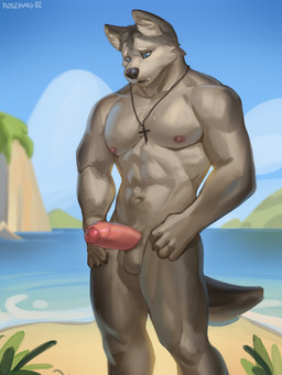 anthro beach blue_eyes christian_cross christian_symbol cloud cross cross_necklace foreskin fur genitals grey_body grey_fur humanoid_genitalia humanoid_penis jewelry male muscular muscular_male necklace nipples partially_retracted_foreskin penis religion religious_symbol rock sand seaside shore sky solo rosemary02 christianity canid canine canis domestic_dog husky mammal nordic_sled_dog spitz hi_res