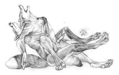 anal anal_penetration animal_genitalia animal_penis anthro balls bodily_fluids canine_genitalia canine_penis claws cum cumshot dipstick_tail duo ejaculation erection eyes_closed finger_claws fluffy fluffy_tail from_behind_position fur genital_fluids genitals gloves_(marking) hands-free hug hugging_another hugging_from_behind inner_ear_fluff knot knotted_penis leg_markings male male/male markings nude nude_anthro nude_male obscured_penetration on_lap open_mouth orgasm pawpads paws penetration penile penile_penetration penis penis_in_ass pointy_ears prick_ears sex simple_background sitting sitting_on_lap socks_(marking) tail tail_markings toe_claws tuft white_background blotch scratches_volume_3 canid canine canis coyote fox mammal red_fox true_fox 2009 monochrome traditional_media_(artwork)