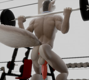 anthro anus balls butt butt_focus exercise genitals knot male nude solo weightlifting workout calixto blender_eevee canid canine canis mammal wolf 3d_(artwork) blender_(artwork) digital_media_(artwork) hi_res