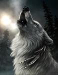 beads cold detailed_background detailed_fur feathers feral forest fur howl ice male morning outside photorealism plant snow solo tree white_body white_fur winter cedarwolf canid canine canis mammal wolf 2014 detailed