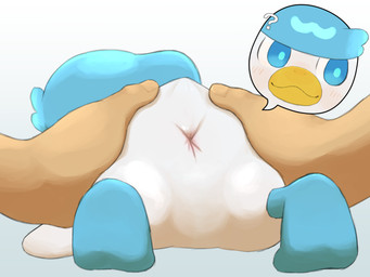 ambiguous_gender ambiguous_human animal_genitalia ass_up beak bestiality cloaca confusion cutaway duo expression_cutaway female feral genital_focus genitals human_on_feral interspecies looking_back pokephilia rear_view simple_background size_difference smaller_female smaller_feral white_background young beageiso nintendo pokemon generation_9_pokemon human mammal pokemon_(species) quaxly 4:3 absurd_res hi_res