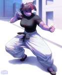 5_fingers anthro big_breasts black_clothing black_shirt black_topwear blurred_background bottomwear breasts building city city_background clothed clothing cosplay eyebrow_through_hair eyebrows female fighting_pose fingers fist footwear hair horn oversized_bottomwear oversized_clothing oversized_pants pants pose purple_body purple_eyes purple_hair shirt shoes smile solo t-shirt topwear translucent translucent_hair white_bottomwear white_clothing white_pants suhar friendship_is_magic hasbro jujutsu_kaisen my_little_pony mythology twilight_sparkle_(mlp) equid equine mammal mythological_creature mythological_equine unicorn 2024 digital_media_(artwork) hi_res