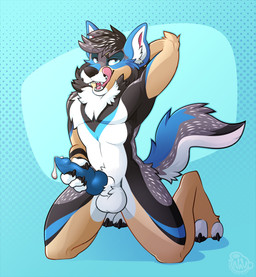 animal_genitalia animal_penis anthro balls bedroom_eyes black_hair blue_eyes blue_penis bodily_fluids canine_genitalia canine_penis cum cum_drip dripping genital_fluids genitals hair hand_behind_head hand_on_penis kneeling knot licking licking_lips licking_own_lips looking_at_viewer male masturbation narrowed_eyes nude pattern_background penile penile_masturbation penis seductive self_lick simple_background solo tongue tongue_out nowandlater manueldawg canid canine canis domestic_dog mammal 2020 digital_media_(artwork) full-length_portrait hi_res portrait