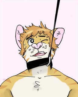 5_fingers anthro collar fingers fur leash leash_pull male one_eye_closed open_mouth pink_background pink_nose simple_background solo striped_body striped_fur stripes submissive tan_body tan_fur walkies whisker_spots white_body white_fur p_rindustries chuck_(p_rindustries) domestic_cat felid feline felis mammal hi_res