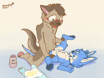 adult_on_child adult_on_young age_difference anal anal_penetration anthro baby_powder blush blush_lines chest_tuft diaper duo genitals hair hand_on_leg hand_on_thigh head_tuft holding_leg holding_leg_up kneeling knotting looking_at_genitalia looking_at_penis looking_down lying male male/male older_male older_male_younger_male on_back on_ground open_diaper paws penetration penis simple_background smile smiling_at_another soiled_diaper tail teeth teeth_showing tongue tongue_out tuft unclean_diaper used_diaper young young_on_young younger_male auzzipup digital_drawing_(artwork) digital_media_(artwork) hi_res sketch