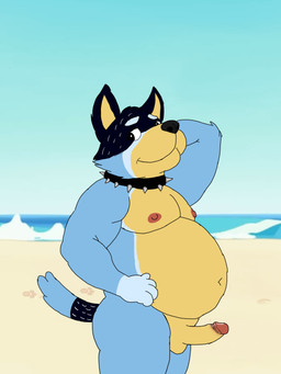 anthro balls beach blue_body blue_fur collar erection fur genitals hand_behind_head humanoid_genitalia humanoid_penis male male_anthro mature_male nipples nude overweight overweight_anthro overweight_male pecs penis public public_nudity sand solo spiked_collar spikes unclejock bluey_(series) bandit_heeler australian_cattle_dog canid canine canis cattledog domestic_dog herding_dog mammal pastoral_dog 3:4 hi_res
