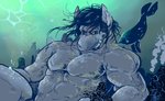 abs anthro black_body black_hair black_skin clothed clothing duo feral grey_body grey_skin hair looking_at_viewer macro male muscular muscular_anthro muscular_male nude pecs solo_focus topless topless_male underwater water ani_chan55 petr_(petrakula) cetacean fish mammal marine shark 2020 digital_media_(artwork) digital_painting_(artwork) half-length_portrait portrait