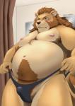 2019 anthro armpit_hair belly blush body_hair bulge clothing felid humanoid_hands lion male mammal moobs navel nipples overweight overweight_anthro overweight_male pantherine solo tori2tea underwear