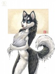 anthro blue_eyes bottomless breasts casual_exposure clothed clothing female fur genitals looking_at_viewer nipples partially_clothed pussy shirt solo tail topwear translucent translucent_clothing wet wet_body wet_clothing wet_fur wet_shirt wet_topwear wringing kacey canid canine canis domestic_dog husky mammal nordic_sled_dog spitz 2012