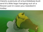 ambiguous_gender anthro big_butt butt solo stinger stuck hurricane_weaver arthropod bee hymenopteran insect meme