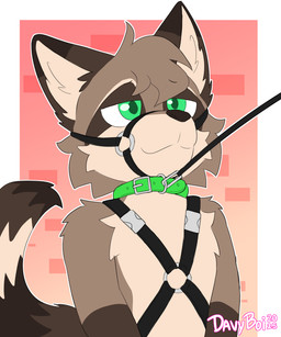 anthro belt_harness chest_harness collar embarrassed harness leash leash_pull leashed_collar looking_up_at_another male muzzle_(object) muzzled snout_tied solo davyboi coony_(davyboi) canid canine mammal procyonid raccoon raccoon_dog 5:6 absurd_res hi_res sketch