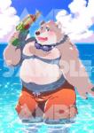 belly clothing detailed_background male moobs navel overweight overweight_male solo swimwear water star_parlor lifewonders tokyo_afterschool_summoners jambavan_(tas) bear mammal 2018