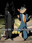 anthro clothing coat duo emoji eyewear glasses humor jacket male necktie night outside shadow smile standing suit text topwear trenchcoat vest spykarp lackadaisy why_dis_look_so_mad_(meme) mordecai_heller rocky_rickaby domestic_cat felid feline felis mammal hi_res meme photography_(artwork)