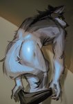 anthro bent_over black_nose butt clothing fur grey_body grey_fur looking_at_viewer looking_back looking_back_at_viewer male male_anthro muscular muscular_male nude nude_anthro nude_male rear_view shadow solo tail undressing yellow_eyes toothlee canid canine canis mammal wolf absurd_res hi_res