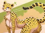 anthro big_breasts blush bouncing_breasts bouncing_butt breasts butt dialogue female looking_at_viewer solo talking_to_viewer text melonleaf cheetah felid feline mammal english_text