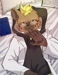 anthro blonde_hair book brown_body brown_eyes brown_fur clothing eyewear fur glass glasses hair hoodie looking_at_viewer male markings pillow solo spots spotted_body spotted_fur topwear bone_color919 lifewonders live_a_hero roiker hyena mammal spotted_hyena 2024 hi_res