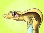 brown_eyes claws eyelids feral green_background licking licking_lips looking_at_viewer pink_tongue pupils simple_background slit_pupils spots tongue tongue_out yellow_body ariel_the_dragon_(artist) crested_gecko gecko lizard reptile scalie 2021 digital_media_(artwork) signature