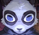 ambiguous_gender anthro black_eyes clothed clothing front_view fur grey_clothing grey_ears grey_hoodie grey_markings grey_nose grey_topwear hoodie markings solo topwear white_body white_fur corzh77 anime_kubrick_stare bear giant_panda mammal bust_portrait hi_res icon portrait