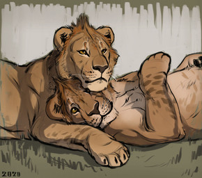 adolescent brown_nose cuddling duo feral fur grass male plant quadruped simple_background tan_body tan_fur whisker_spots whiskers white_background yellow_eyes young alexpahomov felid lion mammal pantherine 2020 digital_drawing_(artwork) digital_media_(artwork)