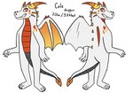 anthro male solo dinkden mythology cole_murphy dragon mythological_creature mythological_scalie scalie model_sheet