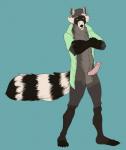 anthro clothed clothing erection genitals humanoid_genitalia humanoid_penis looking_at_viewer male nude penis simple_background smile solo nikodavis apawcalyptic vitally mammal procyonid raccoon 2017 digital_media_(artwork) hi_res