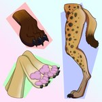 1:1 2023 absurd_res ambiguous_gender anthro brown_body brown_fur canid canine canis claws claws_out digital_media_(artwork) digitigrade disembodied_foot domestic_dog feet foot_focus fox fur group hi_res hindpaw hyena mammal markings pawpads paws phoxst pink_pawpads showing_paws side_view simple_background sketch sketch_page spots spotted_body spotted_fur spotted_hyena tail toe_claws torso torso_shot yellow_body yellow_fur