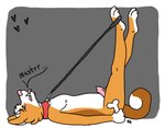 anthro begging bone collar curling_tail curling_toes erection feet horn leash male needy solo speech_bubble tail yasuno yasuno_(yasuno) akita canid canine canis domestic_dog mammal spitz