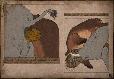 5_toes anal anal_fisting anal_penetration anatomically_correct anatomically_correct_genitalia anatomically_correct_penis animal_genitalia animal_penis anthro anthro_on_feral anthro_on_top anthro_penetrated anthro_penetrating anthro_penetrating_feral anthro_penetrating_male anus arm_markings armwear armwear_only balls belly bestiality big_balls big_penis biped bodily_fluids brown_arms brown_body brown_claws brown_ears brown_feet brown_fur brown_hands brown_legs brown_mane brown_pawpads brown_paws brown_tail butt carrying_another cheek_horn cheek_markings claws clothing coprophilic_intercourse curved_horn dark_anus deep_fisting dialogue dirty_anal duo elbow_gloves erection facial_markings feces feces_on_arm feces_on_body feces_on_trunk feet feral feral_on_bottom feral_penetrated feral_penetrating feral_penetrating_anthro feral_penetrating_male finger_claws fisting fluffy fluffy_tail fur fur_markings genital_fluids genitals gloves grey_body grey_skin grey_tail hair handwear head_markings horn interspecies larger_feral larger_male larger_penetrated latex latex_clothing latex_gloves latex_handwear lifting lifting_another logo long_penis low-angle_view lube lube_in_ass lube_on_trunk lube_string male male/male male_anthro male_feral male_fisted male_fisting male_fisting_male male_on_bottom male_on_feral male_on_top male_penetrated male_penetrating male_penetrating_male mane mane_hair markings medical_checkup medical_examination monotone_anus monotone_balls monotone_body monotone_feet monotone_genitals monotone_horn monotone_inner_ear monotone_markings monotone_skin monotone_tail mostly_nude multicolored_anus multicolored_body multicolored_ears multicolored_fur multicolored_penis muzzle_(marking) nude on_bottom on_head on_top pawpads paws penetration penis penis_on_face pink_anus pink_penis plantigrade precum precum_on_arm precum_on_head precum_squirt proboscis_(anatomy) prostate_exam prostate_stimulation pull_out purple_anus quadruped raised_tail rear_view red_anus red_penis scatplay sex short_ears short_fur short_horn short_tail side_view simple_background sitting size_difference slightly_chubby slightly_chubby_anthro slightly_chubby_male small_ears small_horn small_tail small_top_big_bottom smaller_anthro smaller_male smaller_penetrated snout snout_markings standing tail tail_anus tail_tuft tall tan_balls tan_belly tan_body tan_ears tan_fur tan_inner_ear tan_markings tan_tail text textured_background thick_penis three-quarter_view toe_claws toes trunk_(anatomy) trunk_in_ass tuft tusks two_tone_anus two_tone_body two_tone_ears two_tone_fur two_tone_penis two_tone_tail ursine_ears ursine_genitalia ursine_penis vein veiny_penis white_horn yellow_eyes hdyly third-party_edit kuruk_(character) bear brown_bear elephant elephantid grizzly_bear mammal proboscidean ursidae ursine 2026 absurd_res artist_logo artist_name colored_sketch digital_drawing_(artwork) digital_media_(artwork) english_text hi_res signature sketch