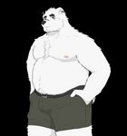 anthro belly bottomwear bulge clothing fur humanoid_hands male moobs nipples overweight overweight_anthro overweight_male shorts simple_background solo transparent_background white_body white_fur hagom bear mammal polar_bear ursine 2020 alpha_channel hi_res