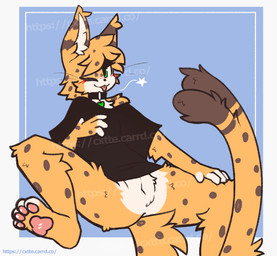:3 animal_genitalia anthro arm_tuft blush bottomless bottomless_anthro bottomless_male clothed clothing collar countershading forked_tail genitals heart_symbol inner_ear_fluff looking_at_viewer male male_anthro one_eye_closed pawpads sheath shoulder_tuft solo tail tongue tuft unusual_anatomy unusual_tail whiskers caeleste leo_(cosmicservalleo) felid feline mammal serval 2025