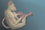 anthro male nude sitting solo joerat mood joe_(joerat) mammal murid murine rat rodent 3:2 absurd_res hi_res