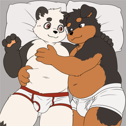anthro belly briefs clothing duo male male/male red_seam_briefs slightly_chubby tighty_whities underwear white_briefs white_clothing white_underwear young young_anthro young_male yun_bino kuro_(yun_bino) bear canid canine canis domestic_dog giant_panda mammal mastiff molosser rottweiler 1:1 animated
