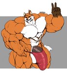 5_fingers abs anthro balls biceps big_balls big_muscles big_penis biped brown_markings chest_tuft clothed clothing fingernails fingers fur genitals gesture gloves_(marking) hair hair_bun hand_gesture huge_balls huge_muscles huge_penis hyper hyper_balls hyper_genitalia hyper_muscles hyper_penis male markings muscular muscular_anthro muscular_male muscular_thighs nails navel nipples orange_body orange_fur orange_hair pecs penis quads simple_background smile solo thong tuft underwear underwear_only v_sign white_body white_fur oldshep mountain_aj canid canine fox mammal digital_drawing_(artwork) digital_media_(artwork)