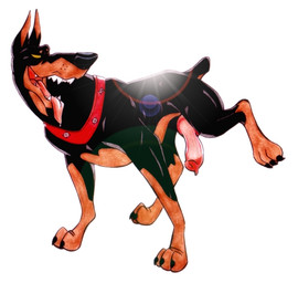animal_genitalia animal_penis bodily_fluids canine_genitalia canine_penis claws collar docked_tail drooling erection feral genitals happy knot lens_flare male penis raised_leg red_collar saliva seductive short_tail simple_background solo studded_collar studs tail tongue tongue_out white_background yellow_eyes klaus_doberman disney oliver_and_company roscoe_(disney) canid canine canis dobermann domestic_dog mammal pinscher