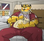 anthro black_nose blush bottomwear bulge cigarette clothing humanoid_hands kemono male overweight overweight_anthro overweight_male pants sitting smoke smoking solo oogamikennta felid mammal pantherine tiger 2009