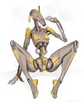 blush breasts female grey_body machine multicolored_body not_furry simple_background solo two_tone_body white_background yellow_body johnfoxart star_wars b1_battle_droid battle_droid humanoid robot 2022 hi_res