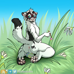 anthro anus black_markings bodypaint cheek_tuft dipstick_tail eyewear eyewear_only facial_tuft flower glasses glasses_only grass green_eyes kneeling male male_anthro markings mouth_closed neck_tuft nude outdoor_nudity pawpads perineum pink_nose pink_pawpads plant red_anus round_glasses solo tail tail_markings tuft wearing_glasses white_body white_perineum thecluelessfox gerome_(verne_nicolaio) mammal mink mustelid musteline true_musteline 1:1 alternate_version_at_source hi_res