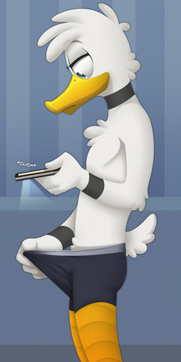 adolescent beak boxers_(clothing) camera clothing dick_pic electronics feathers grey_clothing grey_underwear looking_down male phone selfie solo underwear yellow_beak young granitemcgee anatid anseriform avian bird duck hi_res