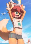 anthro anthro_focus ball bodily_fluids bottomwear clothed clothing cloud crop_top cute_fangs day fangs fur group hair happy holding_object kemono male male_anthro male_focus midriff navel open_mouth open_smile outside shirt shorts sky smile solo_focus sweat sweatdrop teeth tongue topwear trio volleyball_(ball) young young_anthro young_male arcadius0505 acra_(arcadius0505) arca_(arcadius0505) canid canine fox mammal 2023 digital_media_(artwork) hi_res