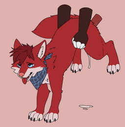 anal anal_penetration anthro anthro_on_feral anthro_penetrating anthro_penetrating_feral bestiality blue_eyes blue_kerchief blue_neckerchief bodily_fluids cum cum_string disembodied_hand disembodied_penis duo erection feral feral_penetrated fur genital_fluids genitals hair kerchief looking_pleasured male male/male male_penetrated male_penetrating male_penetrating_male neckerchief neckwear obscured_penetration open_mouth penetration penile penile_penetration penis pink_background red_body red_fur red_hair red_tongue semi-anthro sex short_hair side_view simple_background solo_focus tongue tongue_out white_body white_fur martinballamore canid canine mammal hi_res